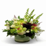 ORCHIDS SNAPDRAGON CHRYSANTHEMUMS