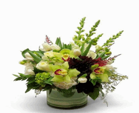 ORCHIDS SNAPDRAGON CHRYSANTHEMUMS