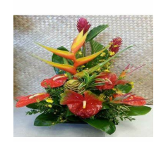 HELICONIA - BIRD OF PARADISE